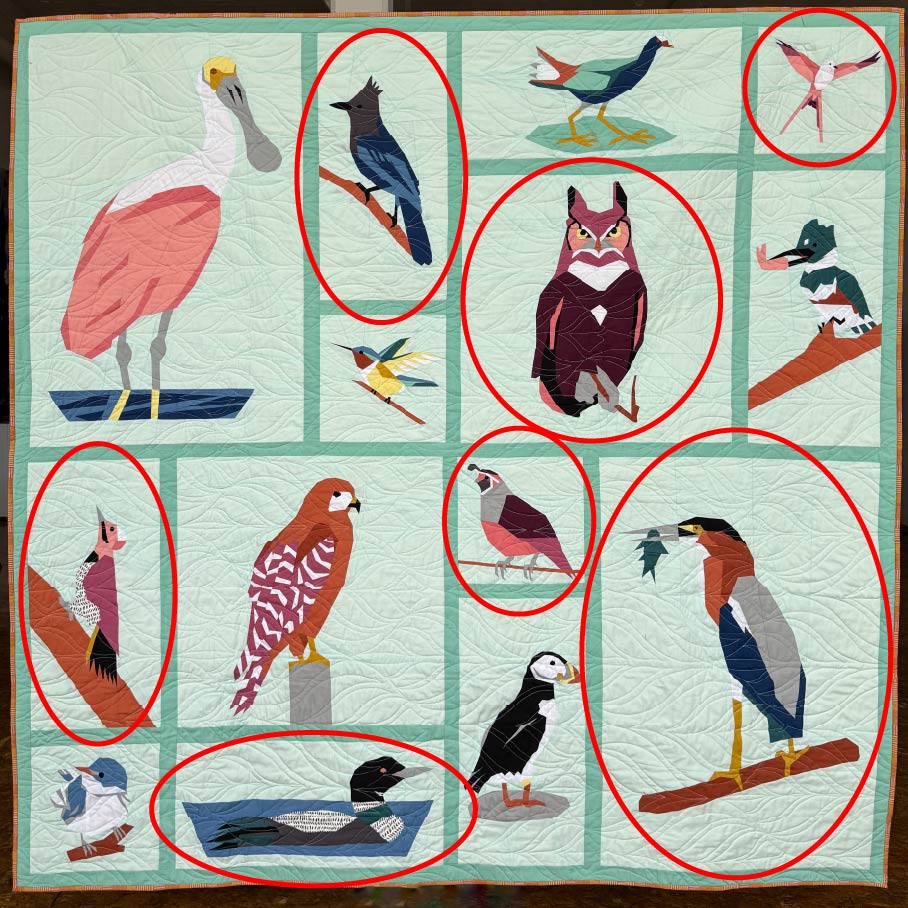 The Birdwatchers Project